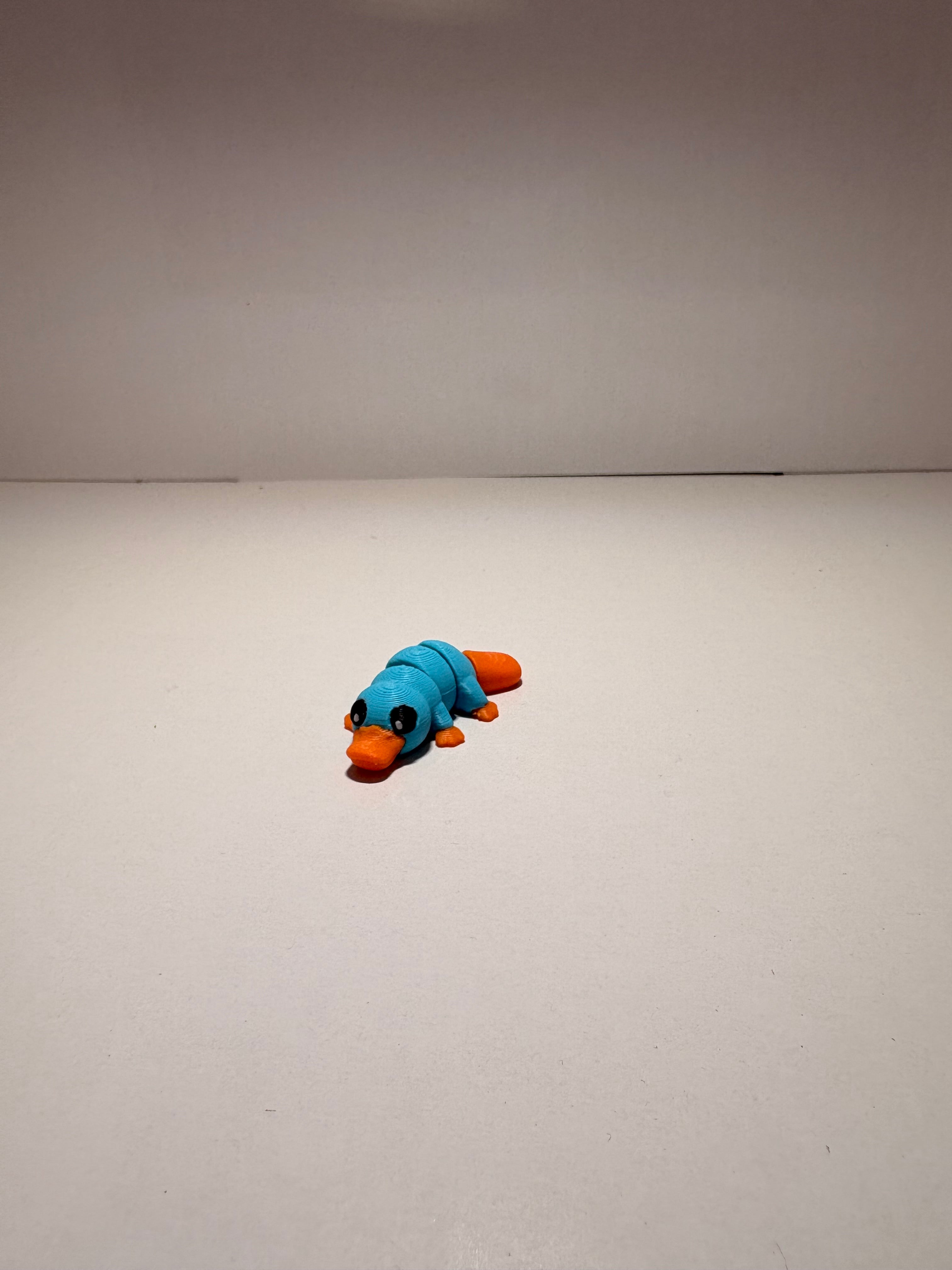 Squigglez