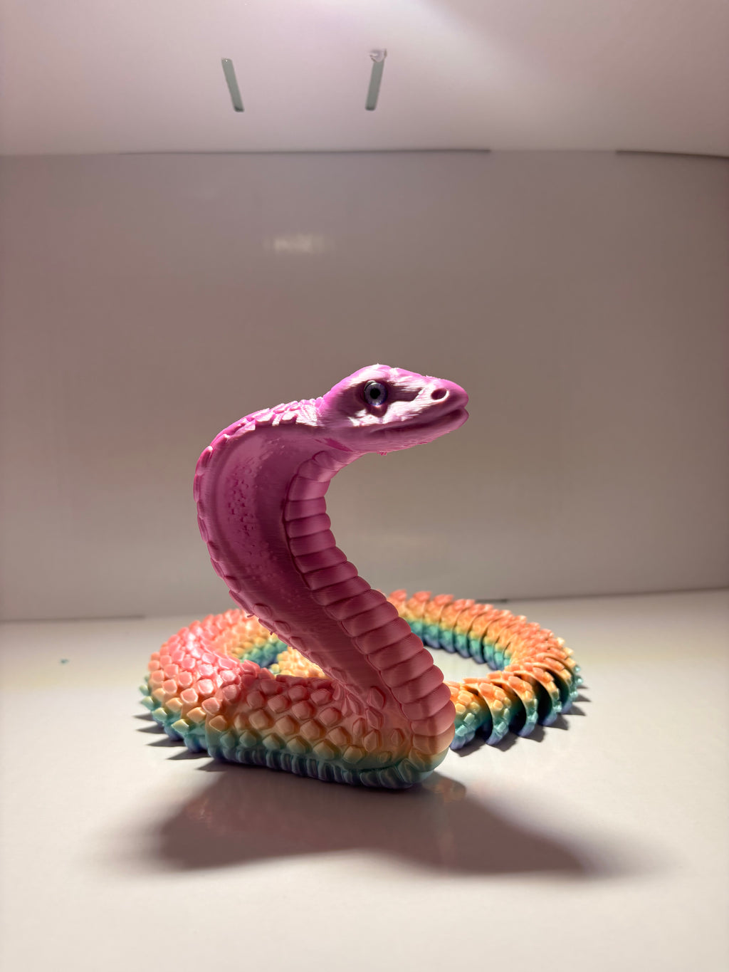 22'' Cobra